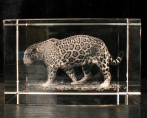 Ягуар в стекле