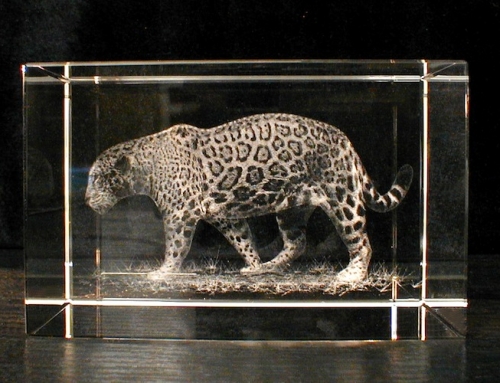 Ягуар в стекле
