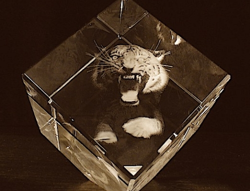 Тигр в стекле
