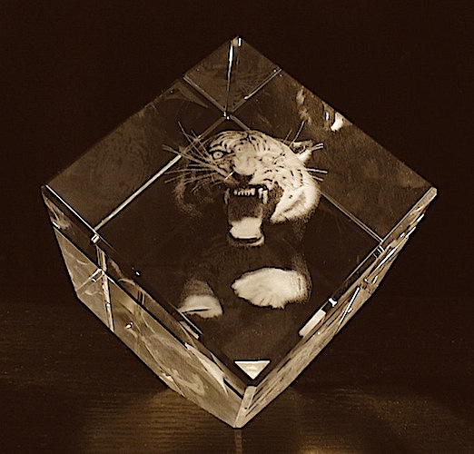 Тигр в стекле