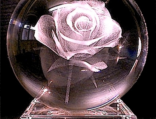 Роза в шаре